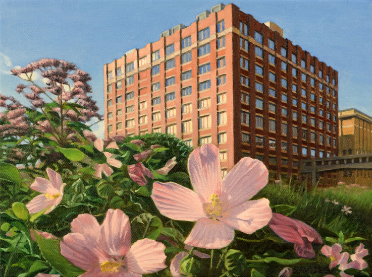 High Line View with Swamp Rose Mallow